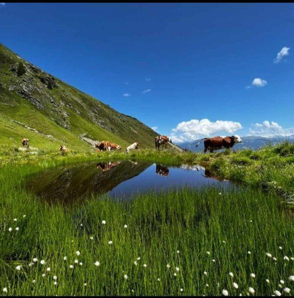 Das Zauberhaft Mayrhofen Ngoại thất bức ảnh